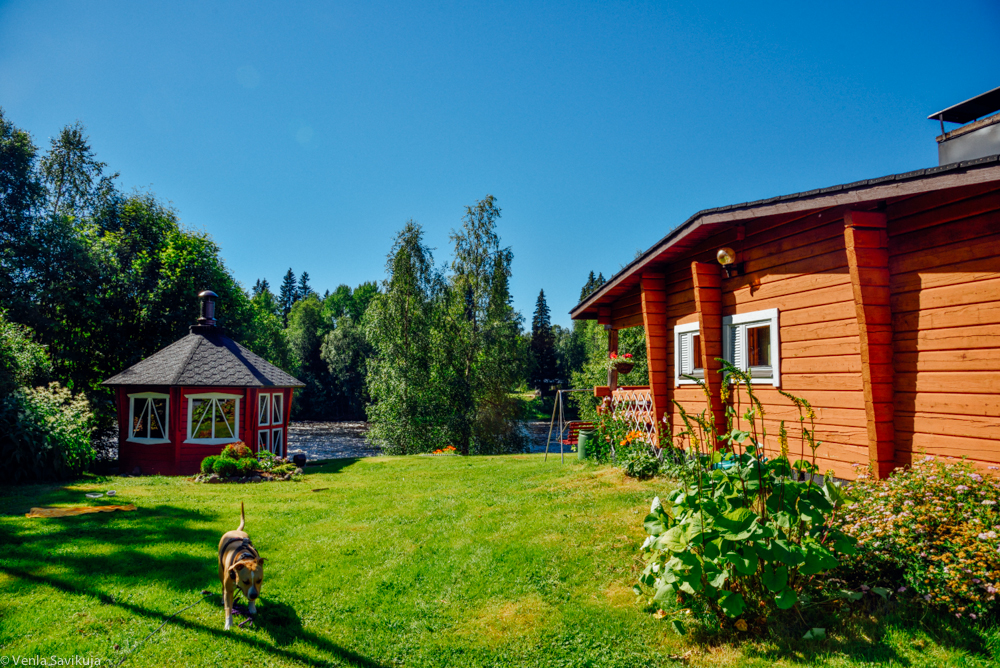 Lapland summer cottage life